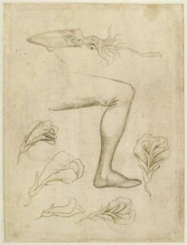 Un poulpe ; une jambe ; des fleurs ; une Vierge à l'Enfant