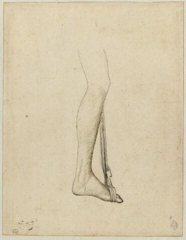 Une jambe droite, le pied passé dans un étrier