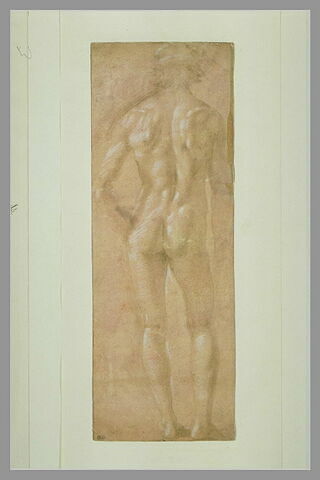 Homme nu, debout, vu de dos
