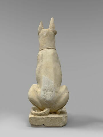 Chien d'Assiout, image 4/7