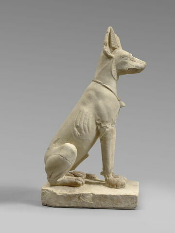 Chien d'Assiout, image 3/7